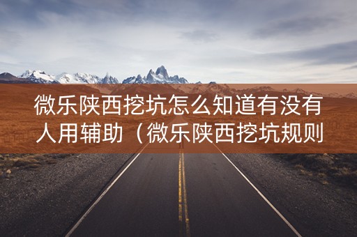 微乐陕西挖坑怎么知道有没有人用辅助（微乐陕西挖坑规则）