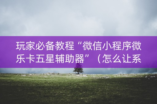 玩家必备教程“微信小程序微乐卡五星辅助器”（怎么让系统给你发好牌)