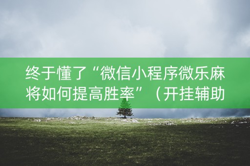 终于懂了“微信小程序微乐麻将如何提高胜率”（开挂辅助器脚本)
