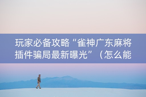 玩家必备攻略“雀神广东麻将插件骗局最新曝光”（怎么能调好牌)