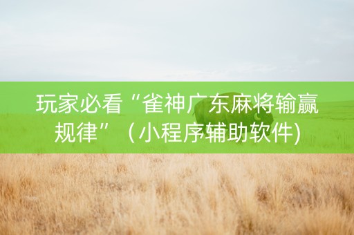 玩家必看“雀神广东麻将输赢规律”（小程序辅助软件)