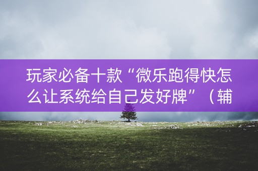 玩家必备十款“微乐跑得快怎么让系统给自己发好牌”（辅助器插件)