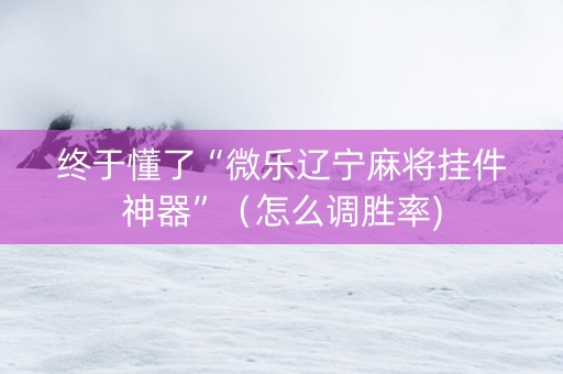 终于懂了“微乐辽宁麻将挂件神器”（怎么调胜率)