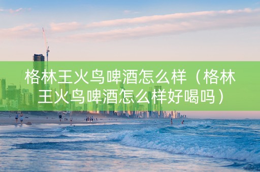 格林王火鸟啤酒怎么样（格林王火鸟啤酒怎么样好喝吗）