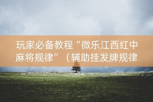玩家必备教程“微乐江西红中麻将规律”（辅助挂发牌规律)