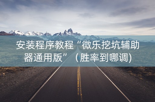 安装程序教程“微乐挖坑辅助器通用版”（胜率到哪调)