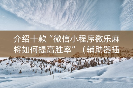 介绍十款“微信小程序微乐麻将如何提高胜率”（辅助器插件)