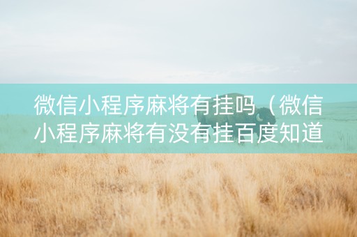 微信小程序麻将有挂吗（微信小程序麻将有没有挂百度知道）