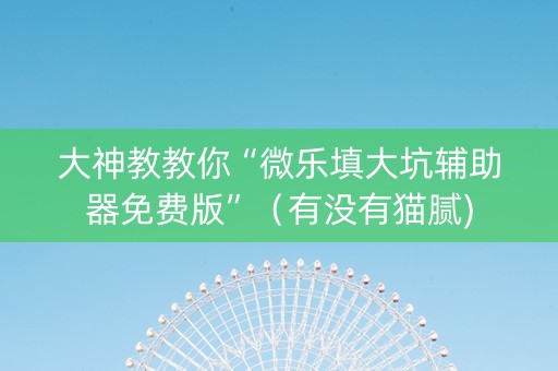 大神教教你“微乐填大坑辅助器免费版”（有没有猫腻)