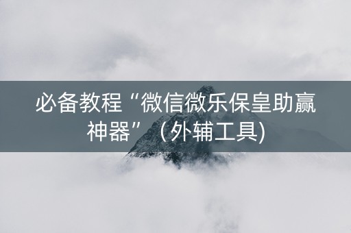 必备教程“微信微乐保皇助赢神器”（外辅工具)