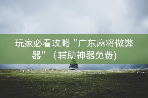 玩家必看攻略“广东麻将做弊器”（辅助神器免费)
