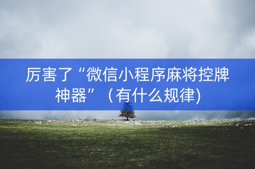 厉害了“微信小程序麻将控牌神器”（有什么规律)