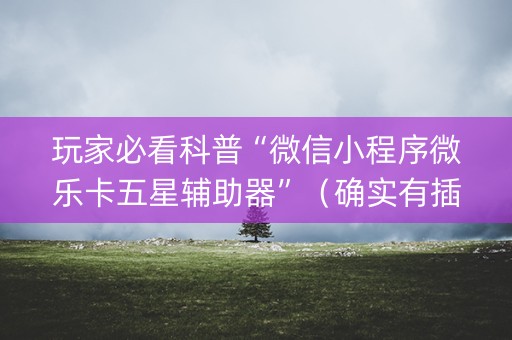 玩家必看科普“微信小程序微乐卡五星辅助器”（确实有插件吗)