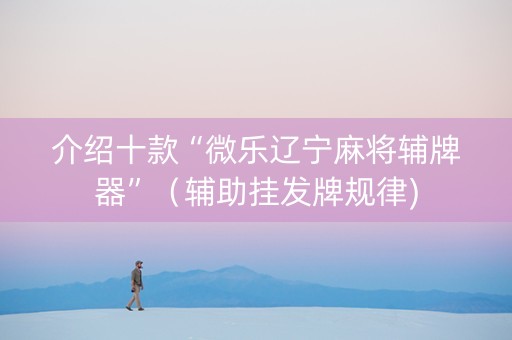 介绍十款“微乐辽宁麻将辅牌器”（辅助挂发牌规律)