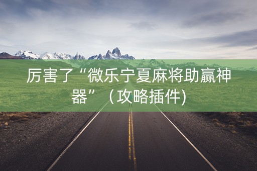 厉害了“微乐宁夏麻将助赢神器”（攻略插件)