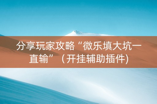 分享玩家攻略“微乐填大坑一直输”（开挂辅助插件)
