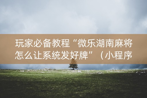 玩家必备教程“微乐湖南麻将怎么让系统发好牌”（小程序必赢神器)
