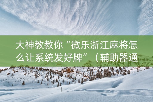 大神教教你“微乐浙江麻将怎么让系统发好牌”（辅助器通用版)