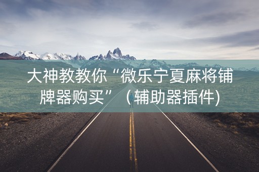 大神教教你“微乐宁夏麻将铺牌器购买”（辅助器插件)