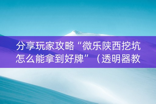 分享玩家攻略“微乐陕西挖坑怎么能拿到好牌”（透明器教程)
