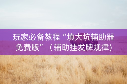 玩家必备教程“填大坑辅助器免费版”（辅助挂发牌规律)