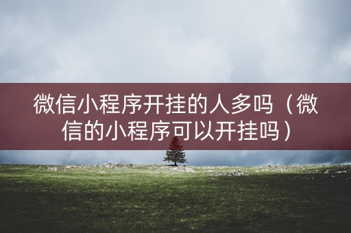 微信小程序开挂的人多吗（微信的小程序可以开挂吗）