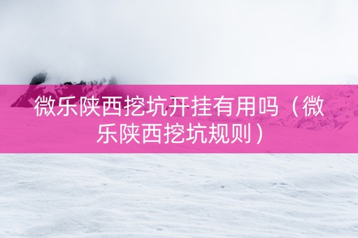 微乐陕西挖坑开挂有用吗（微乐陕西挖坑规则）