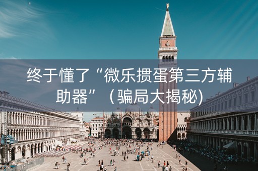 终于懂了“微乐掼蛋第三方辅助器”（骗局大揭秘)