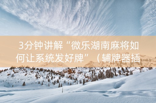 3分钟讲解“微乐湖南麻将如何让系统发好牌”（辅牌器插件购买)