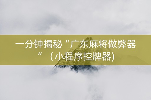 一分钟揭秘“广东麻将做弊器”（小程序控牌器)