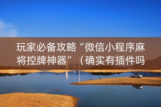 玩家必备攻略“微信小程序麻将控牌神器”（确实有插件吗)