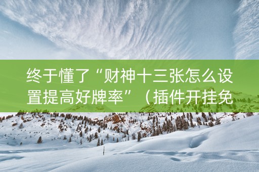 终于懂了“财神十三张怎么设置提高好牌率”（插件开挂免费AI)
