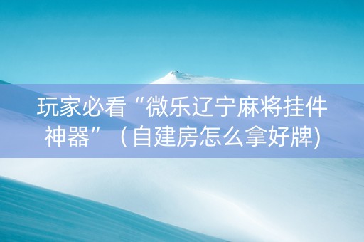 玩家必看“微乐辽宁麻将挂件神器”（自建房怎么拿好牌)