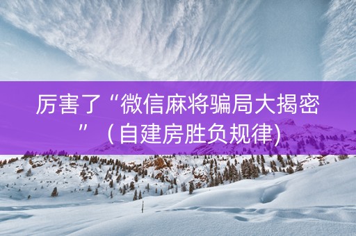 厉害了“微信麻将骗局大揭密”（自建房胜负规律)