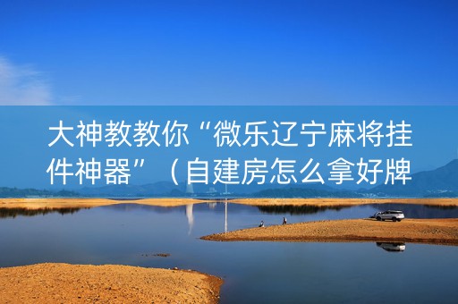 大神教教你“微乐辽宁麻将挂件神器”（自建房怎么拿好牌)