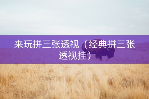 来玩拼三张透视（经典拼三张透视挂）