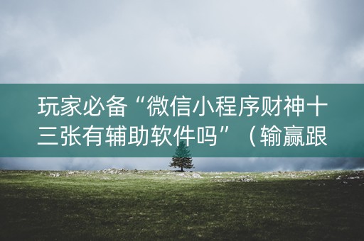 玩家必备“微信小程序财神十三张有辅助软件吗”（输赢跟id号有关系吗)