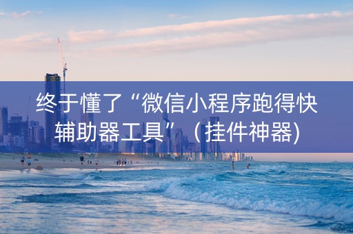 终于懂了“微信小程序跑得快辅助器工具”（挂件神器)