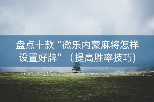 盘点十款“微乐内蒙麻将怎样设置好牌”（提高胜率技巧)