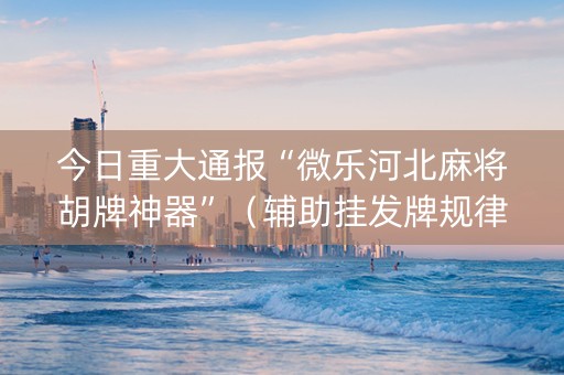 今日重大通报“微乐河北麻将胡牌神器”（辅助挂发牌规律)