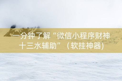 一分钟了解“微信小程序财神十三水辅助”（软挂神器)