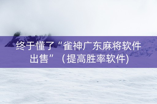终于懂了“雀神广东麻将软件出售”（提高胜率软件)