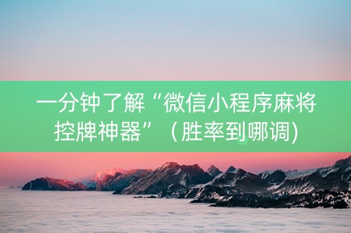 一分钟了解“微信小程序麻将控牌神器”（胜率到哪调)