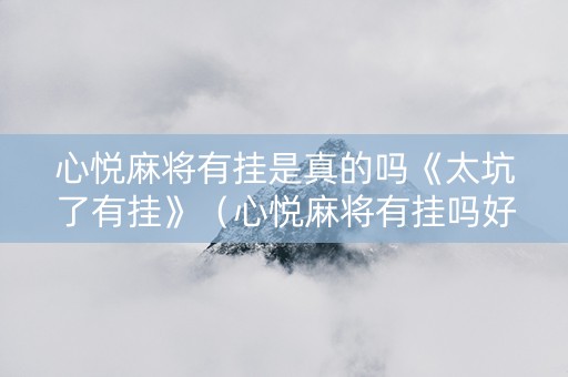 心悦麻将有挂是真的吗《太坑了有挂》（心悦麻将有挂吗好用吗）