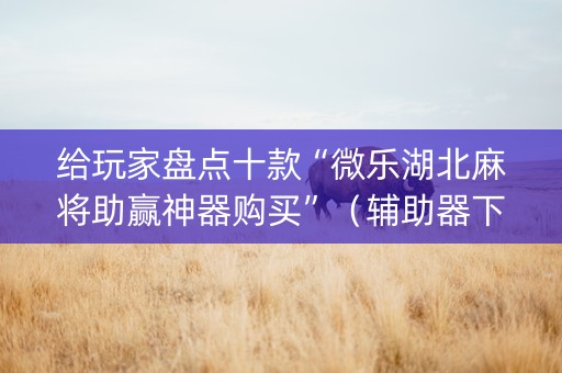 给玩家盘点十款“微乐湖北麻将助赢神器购买”（辅助器下载)