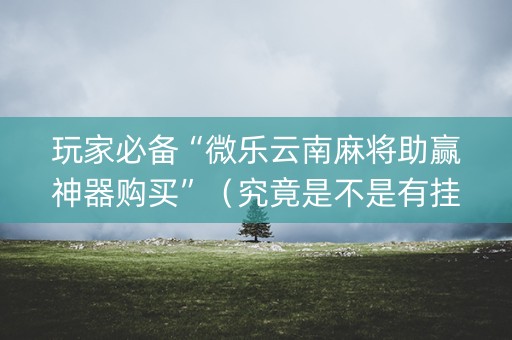 玩家必备“微乐云南麻将助赢神器购买”（究竟是不是有挂)