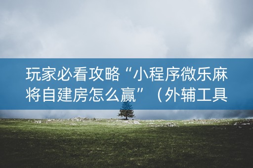 玩家必看攻略“小程序微乐麻将自建房怎么赢”（外辅工具)