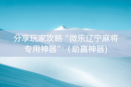 分享玩家攻略“微乐辽宁麻将专用神器”（助赢神器)