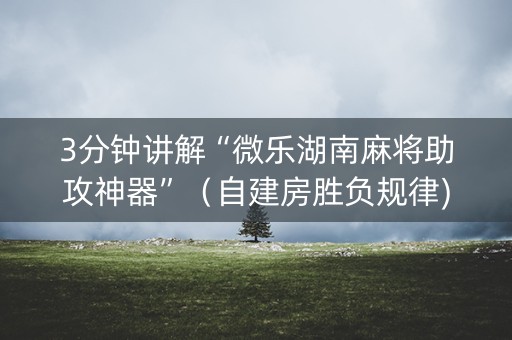 3分钟讲解“微乐湖南麻将助攻神器”（自建房胜负规律)