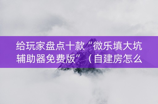 给玩家盘点十款“微乐填大坑辅助器免费版”（自建房怎么拿好牌)